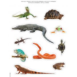 GOMETS REPTILES Y ANFIBIOS 12 HOJAS