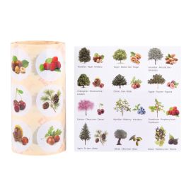 GOMETS ROLLO ARBOLES Y SUS FRUTOS