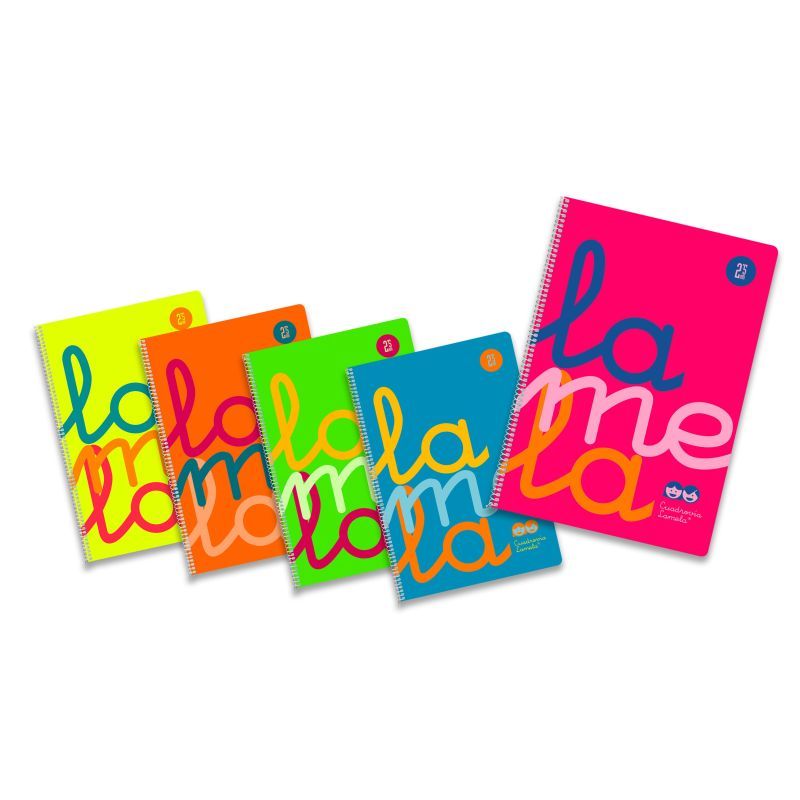 Cuadernos Lamela